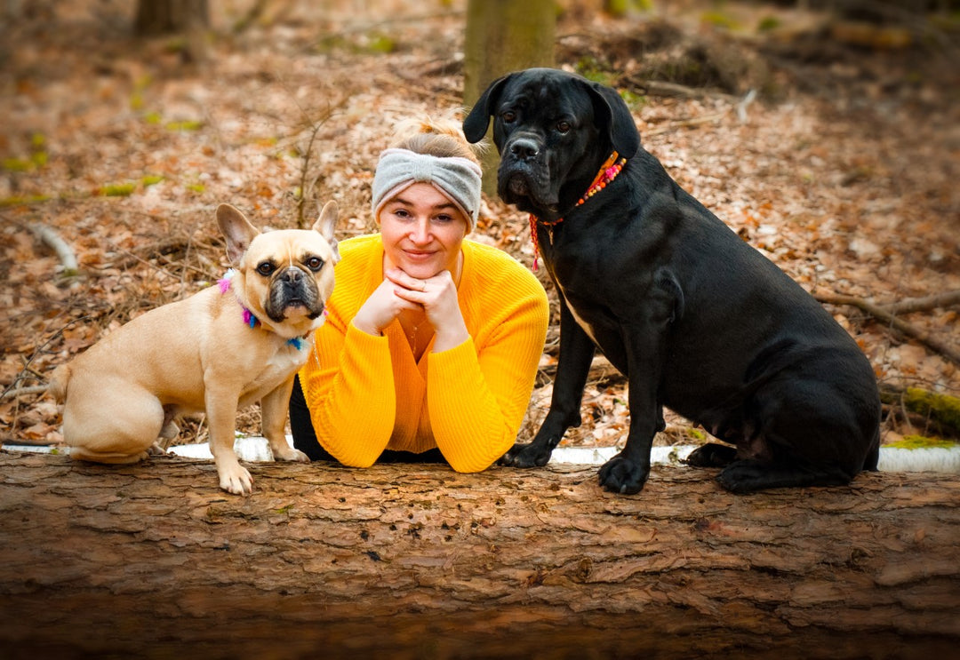 Wenn der Hund mal nicht frisst