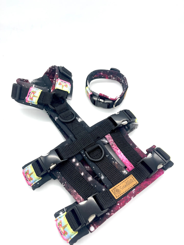 Hundehalsband aus robustem Material, verstellbar und komfortabel. Hunde Halsband night Ski Galaxy schwarz Black