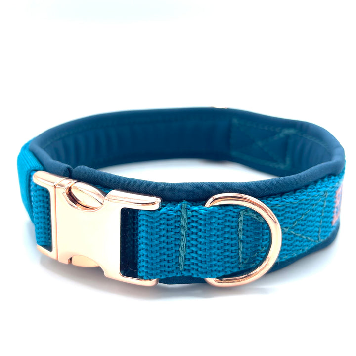 Hochwertiges Hundehalsband aus robustem Material, verstellbar und komfortabel. halsband Petrol