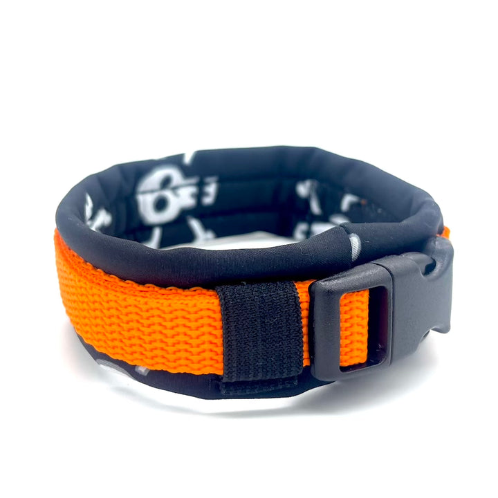 Halloween Hund Halsband Orange