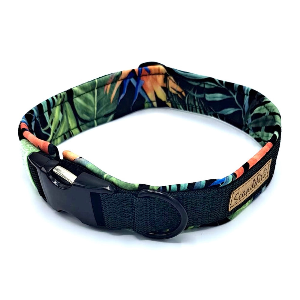 Hochwertiges Hundehalsband aus robustem Material, verstellbar und komfortabel, ideal für Spaziergänge und Sicherheit, in modernem Design. jungle grün von scandipaws